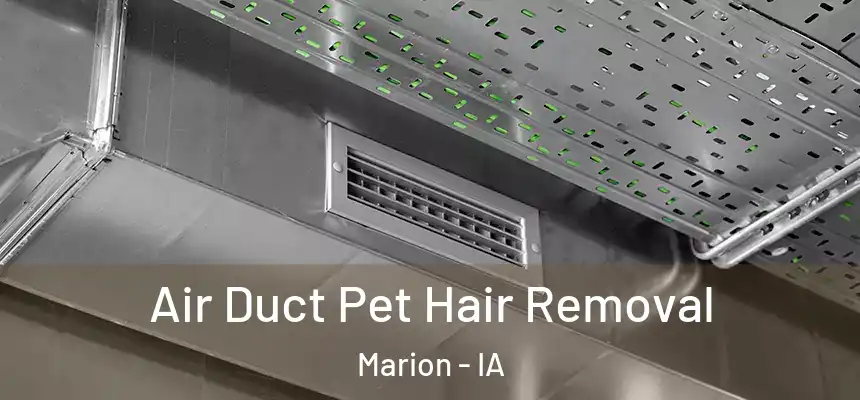  Air Duct Pet Hair Removal Marion - IA