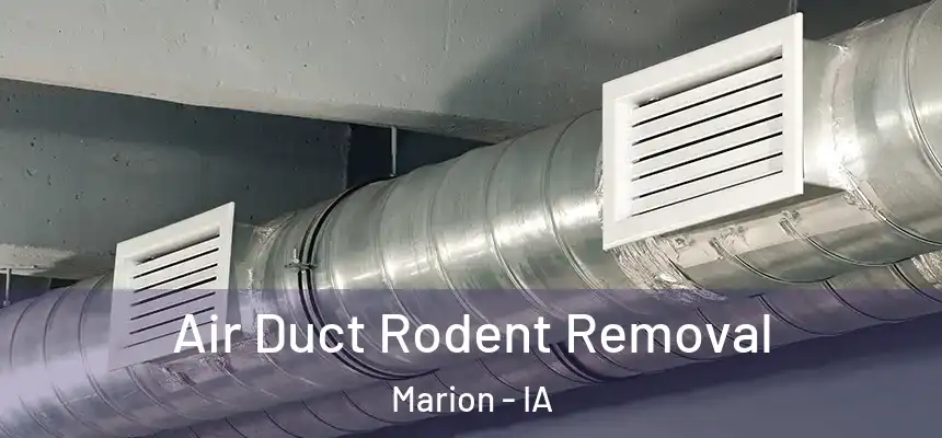  Air Duct Rodent Removal Marion - IA