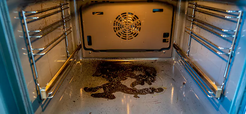 Our Dryer Vent Mold Cleaning Services in Marion, IA