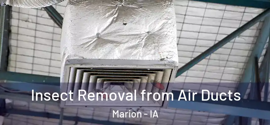  Insect Removal from Air Ducts Marion - IA