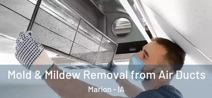  Mold & Mildew Removal from Air Ducts Marion - IA