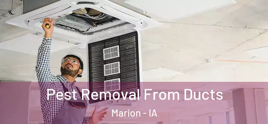  Pest Removal From Ducts Marion - IA