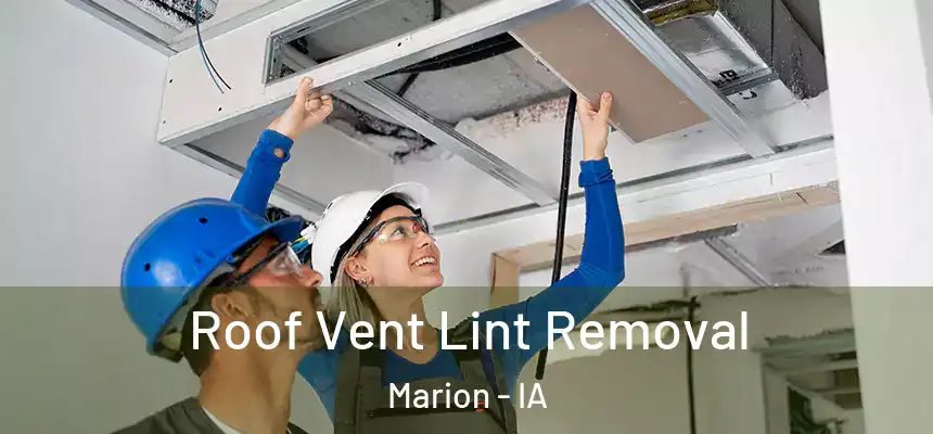  Roof Vent Lint Removal Marion - IA