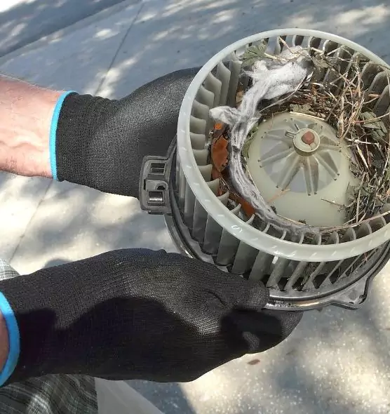 About Air Duct Rat Removal in Marion, IA