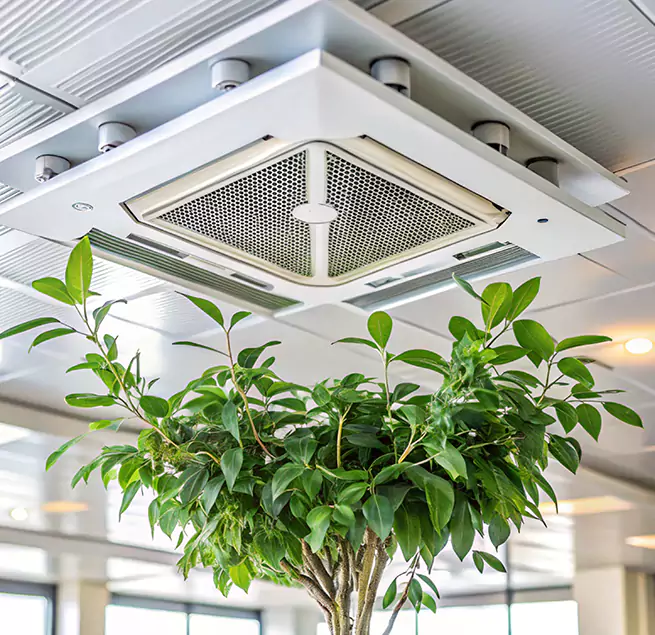 Why Homeowners & Businesses Trust Us in Marion, IA?