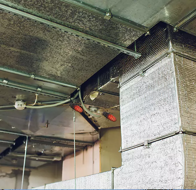 Why Homeowners & Businesses Trust Us Marion, IA?